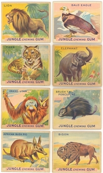 1930s R78 World Wide Gum "Jungle Gum" Near Set (42/48)